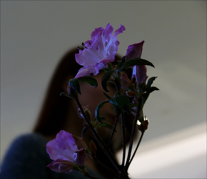 l1410372_conew1.jpg