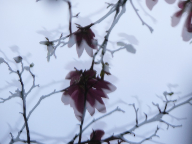 L1440324.JPG