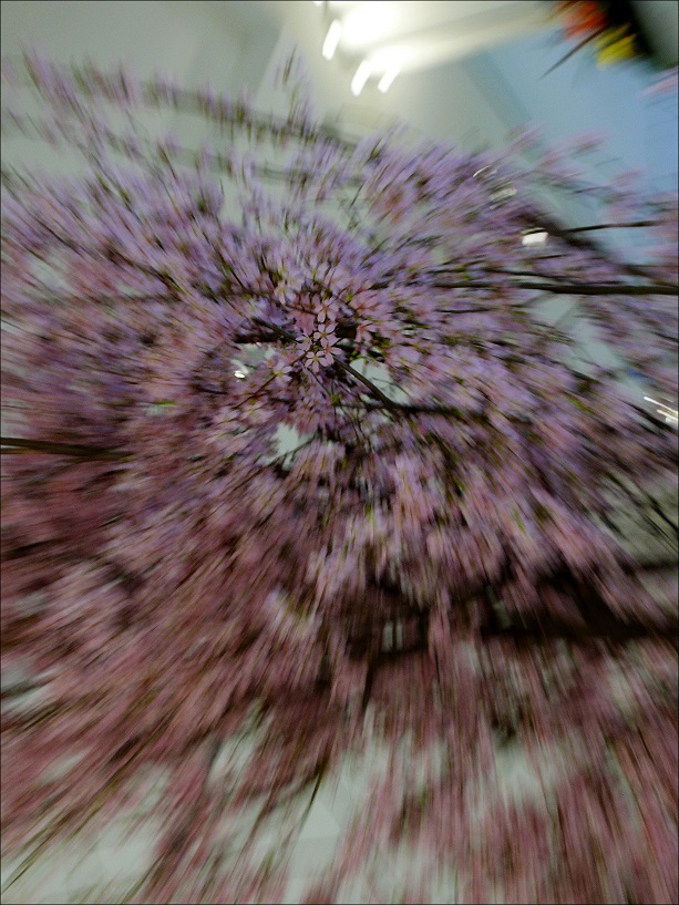 l1410137_conew3.jpg