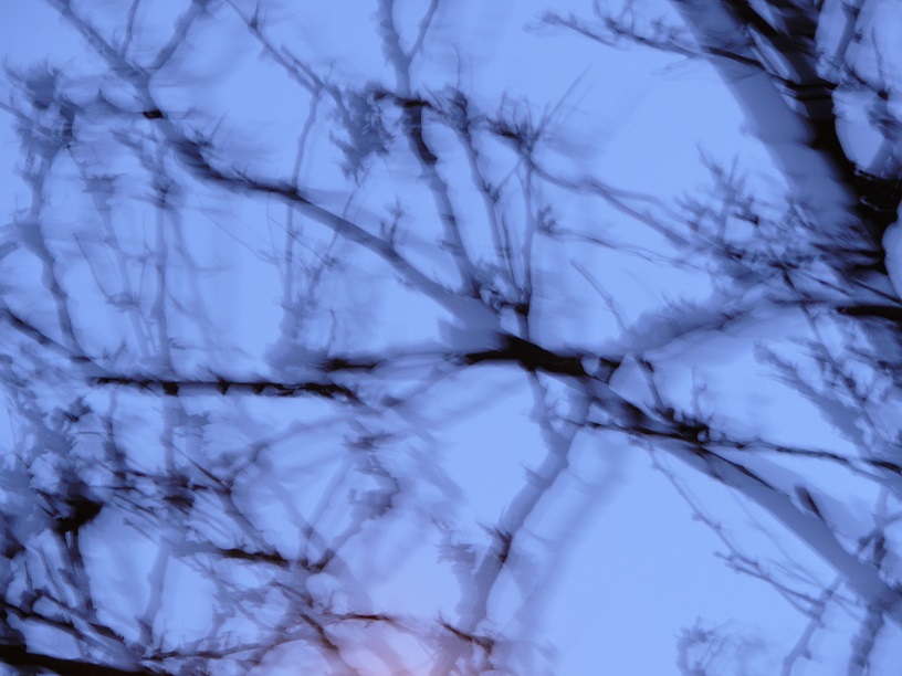 L1420749.JPG