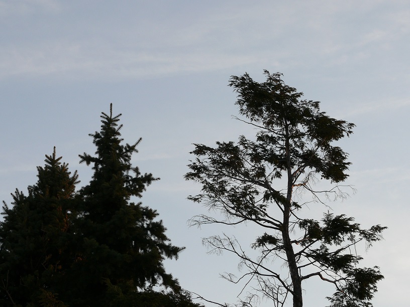 L1460036.JPG