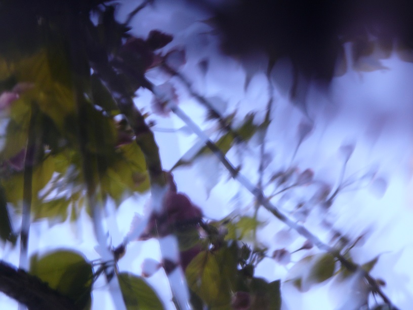 L1450695.JPG