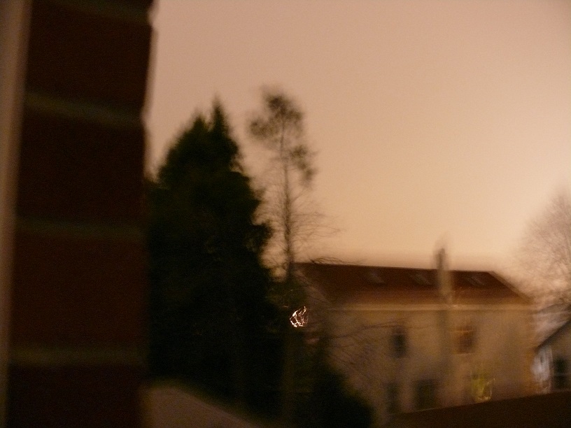 L1420932.JPG