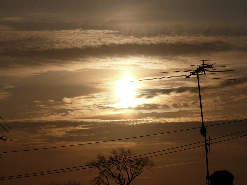 L1450352.JPG