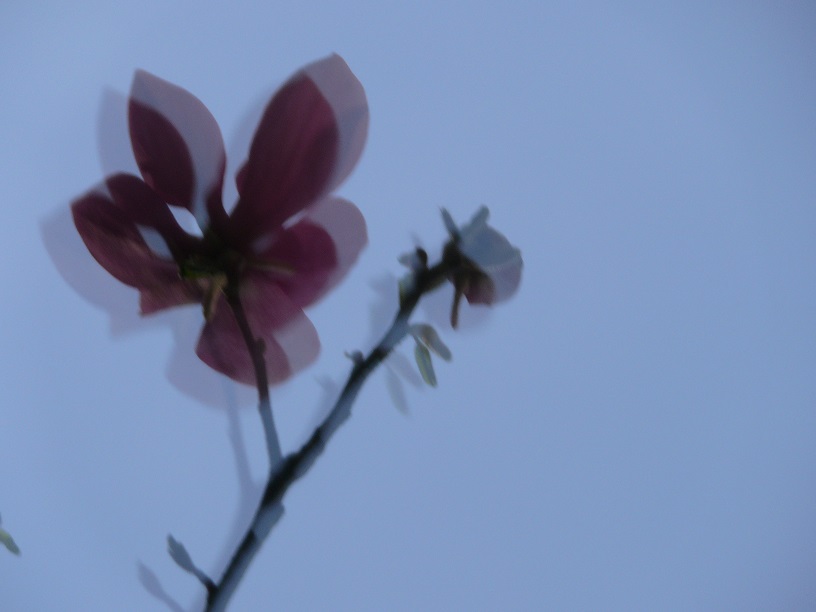 L1440100.JPG