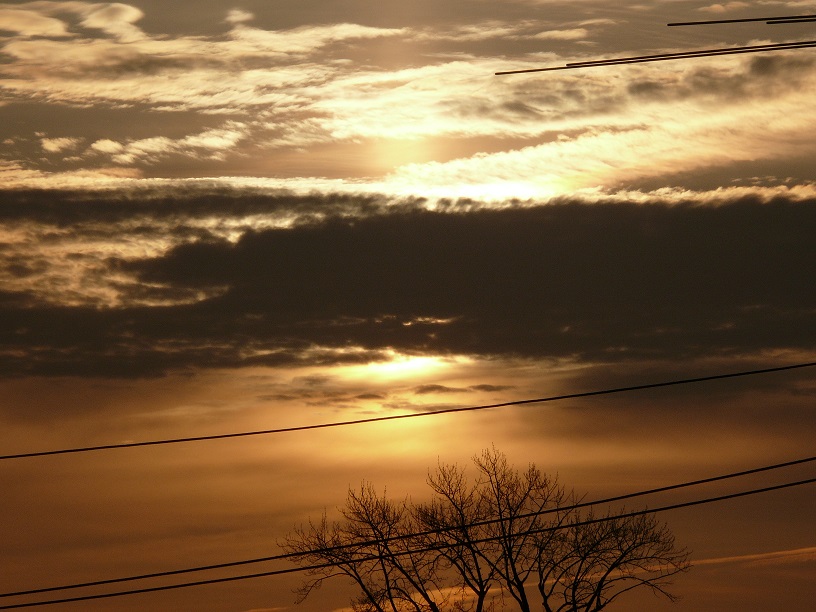 L1450306.JPG