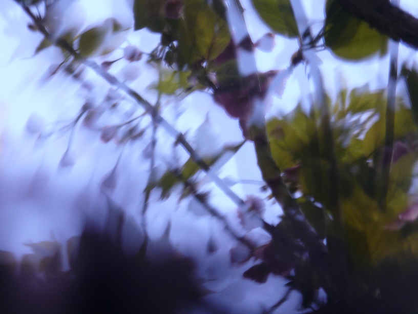 L1450695.JPG