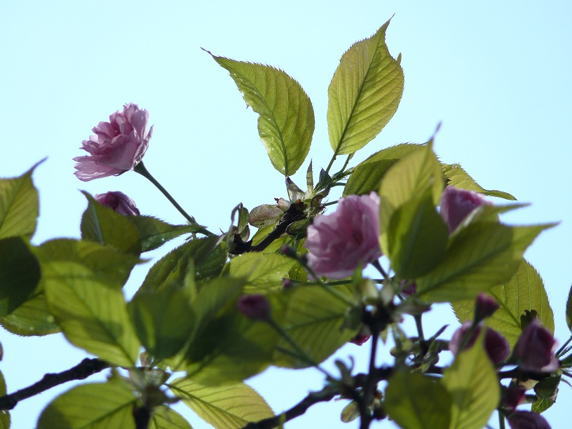 L1450649.JPG