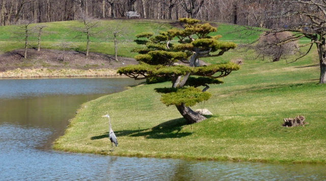 2_37884_1ddf4c231770580.jpg