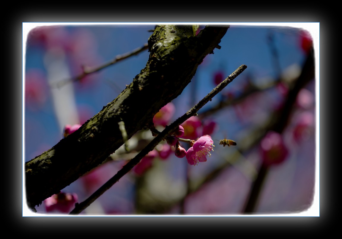 DSC_8809.jpg