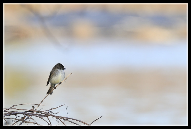 _DSC6154_01_.jpg