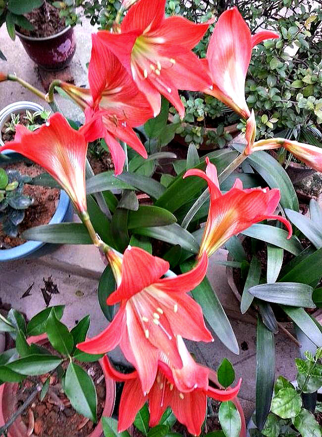 20140404_155029.jpg