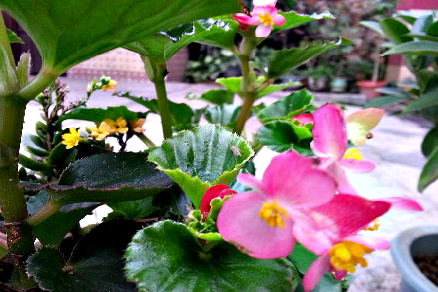 20140404_155208.jpg