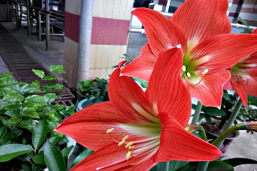 20140404_155049.jpg