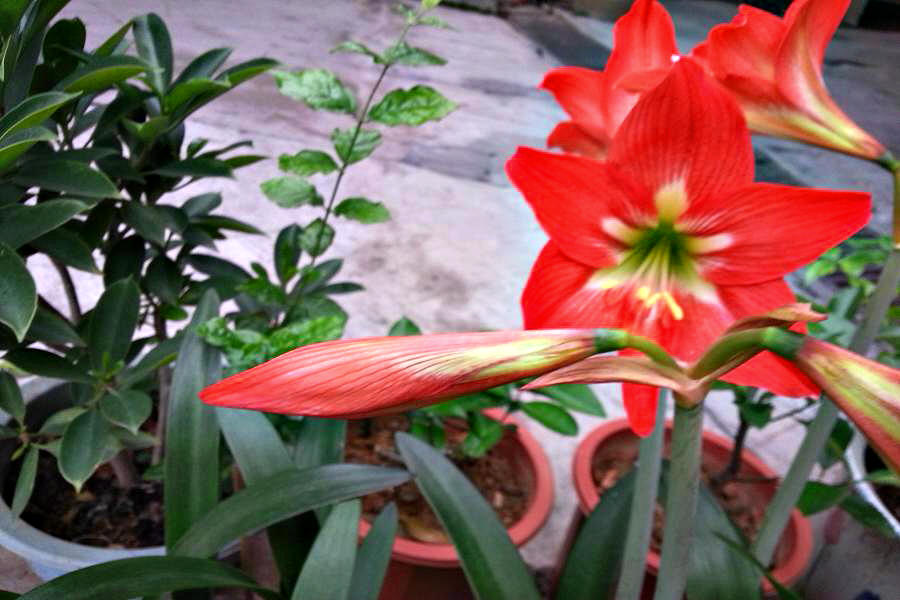 20140404_155146.jpg