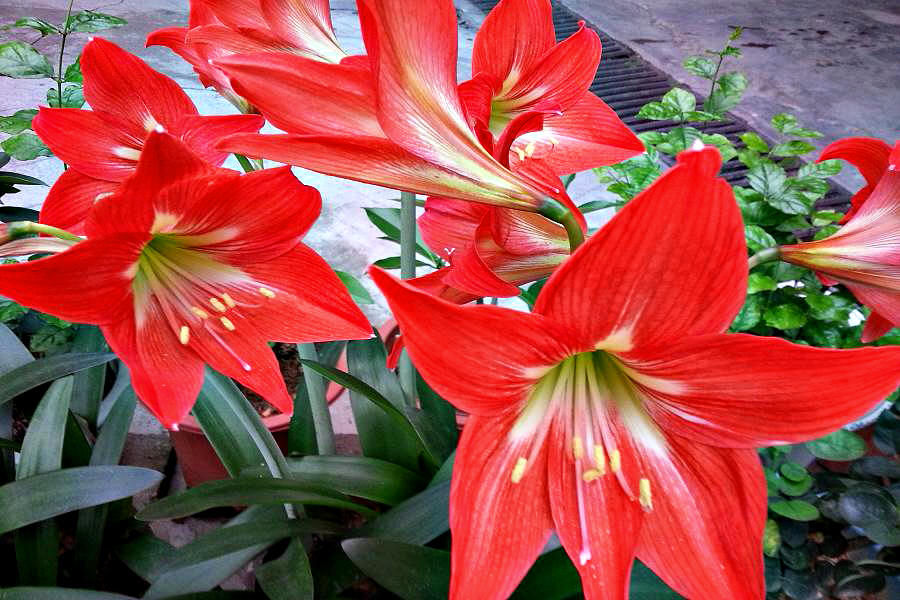 20140404_155137.jpg