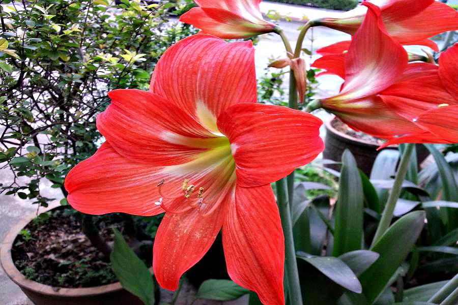 20140404_155100.jpg