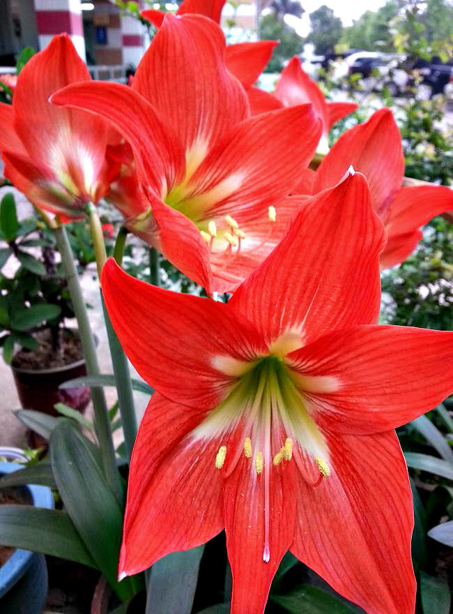 20140404_155339.jpg