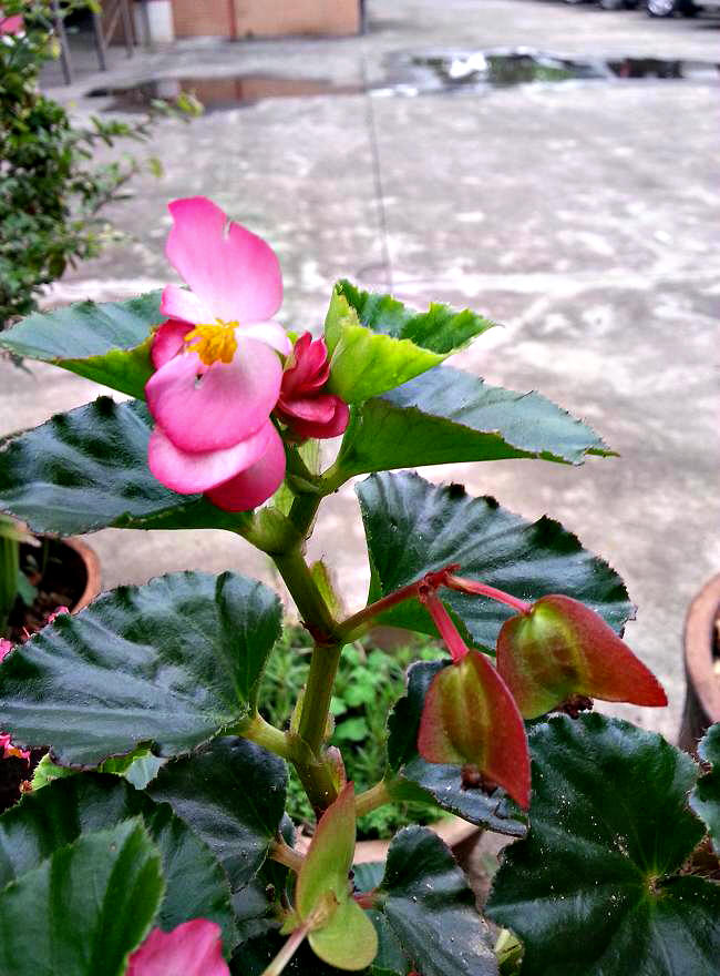 20140404_155404.jpg