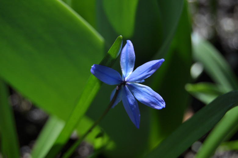 DSC_0435_.jpg