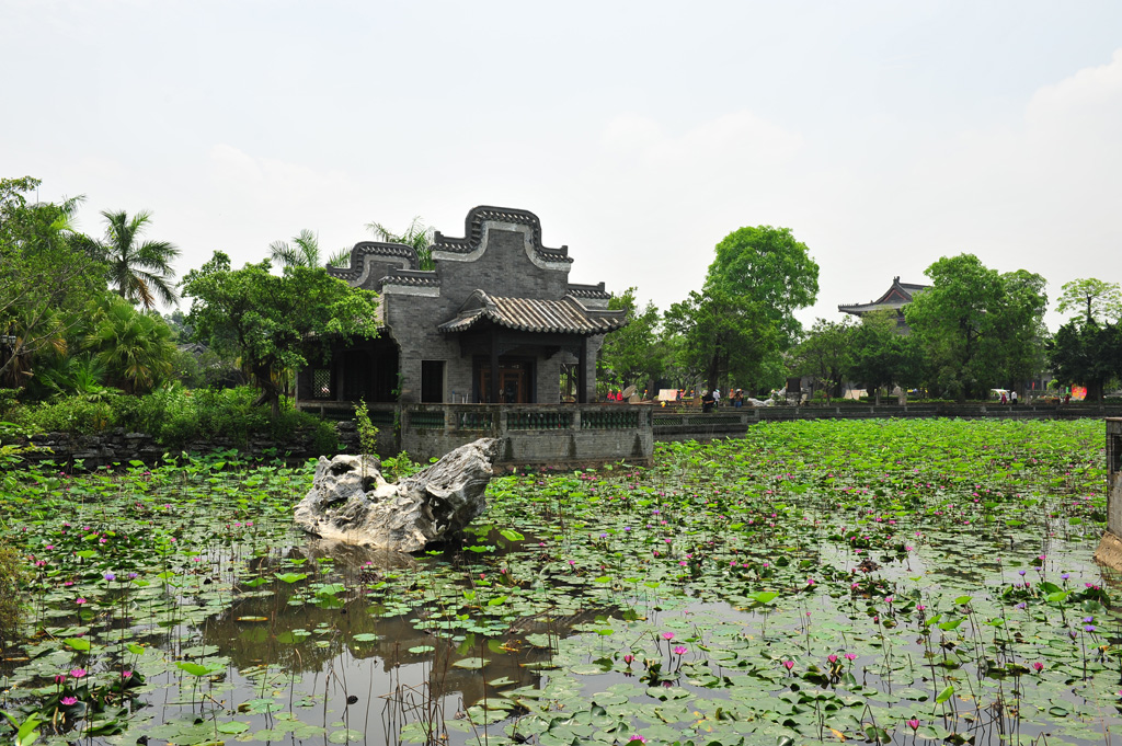 DSC_8590.JPG