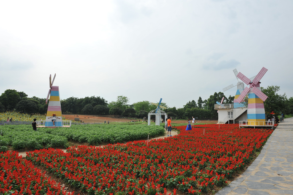 DSC_8707.JPG