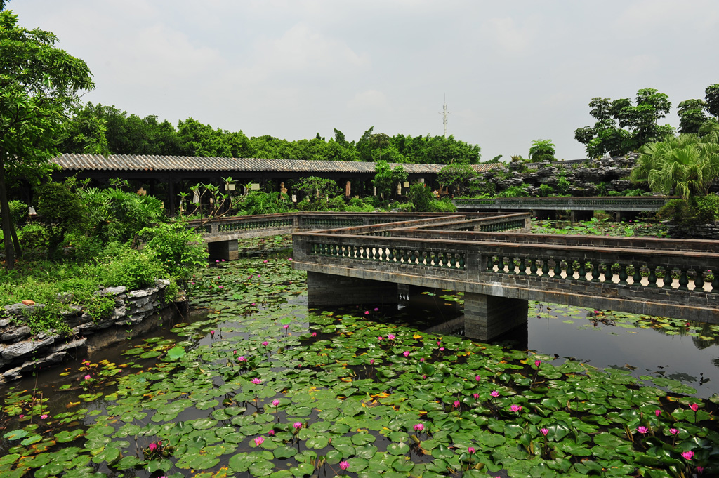 DSC_8592.JPG