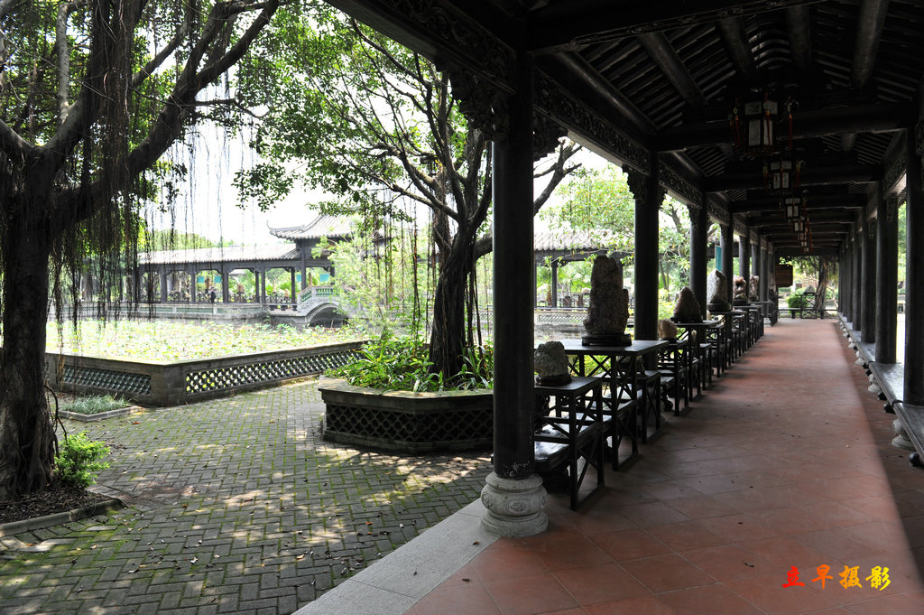 DSC_3003.jpg
