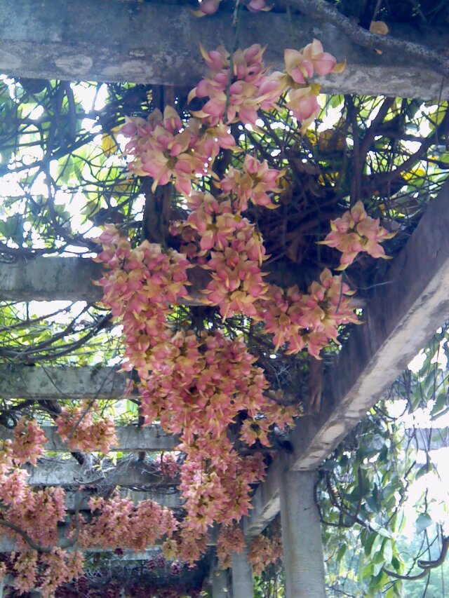 201403259.jpg