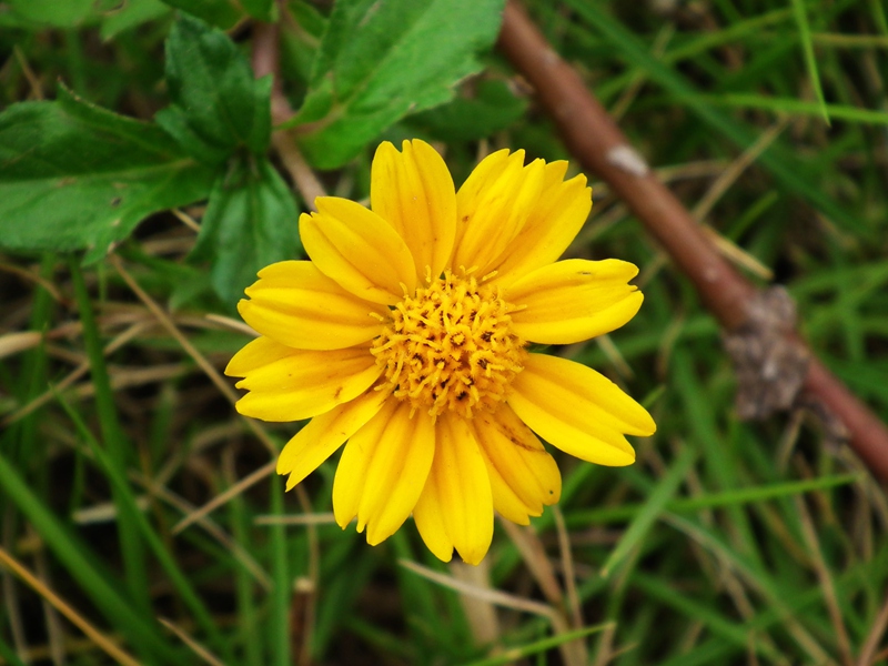 DSCF5840.jpg