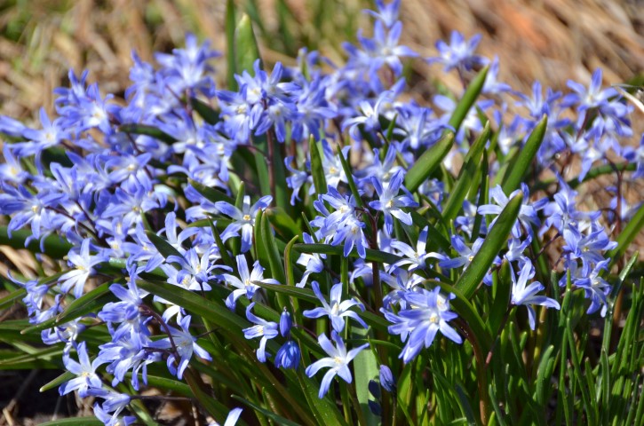 DSC_4031 (Small).JPG