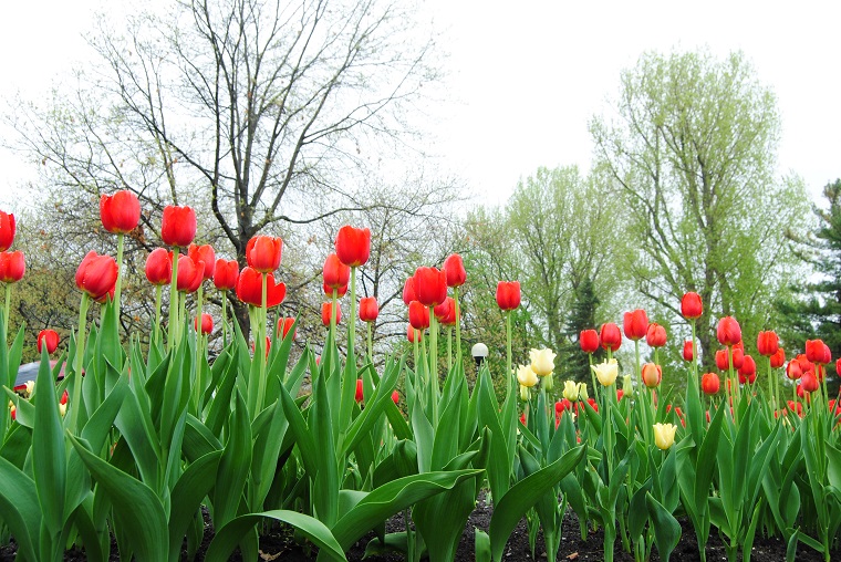 DSC_0946.JPG