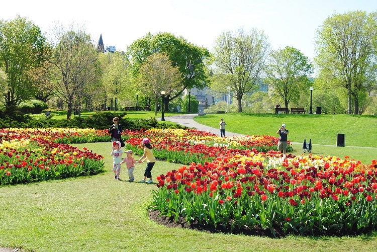 DSC_1044.JPG