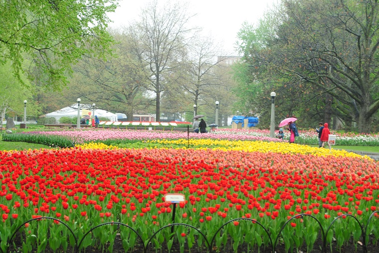 DSC_0951.JPG
