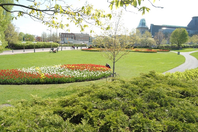 DSC_1037.JPG