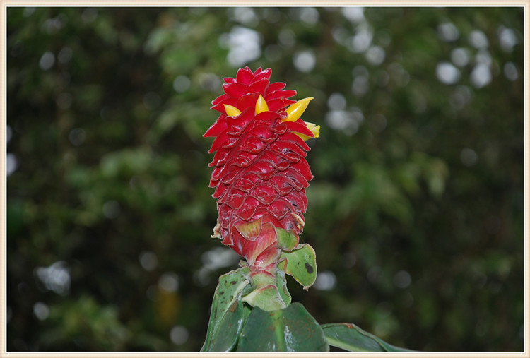 DSC_0384.jpg