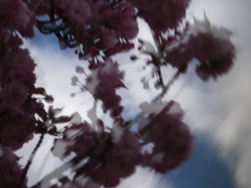 L1500370.JPG