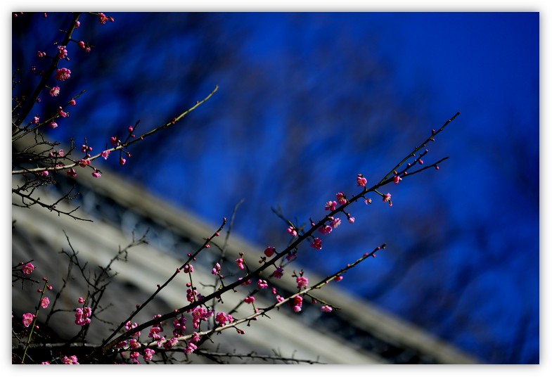 DSC_9168.jpg