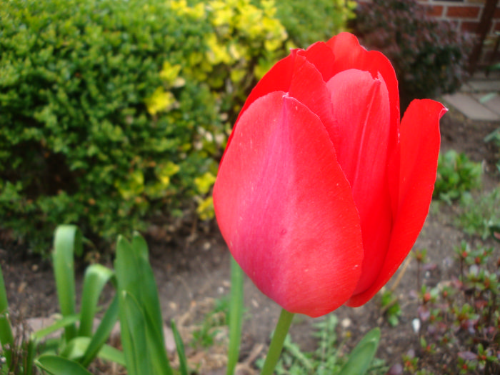 DSC07072.JPG