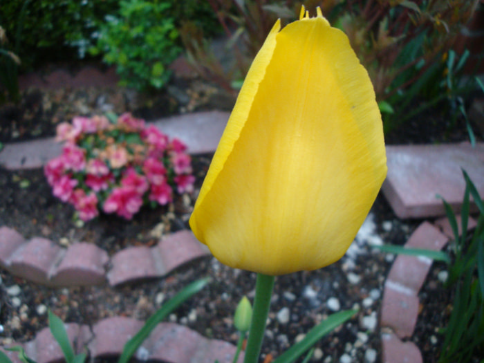 DSC07010.JPG
