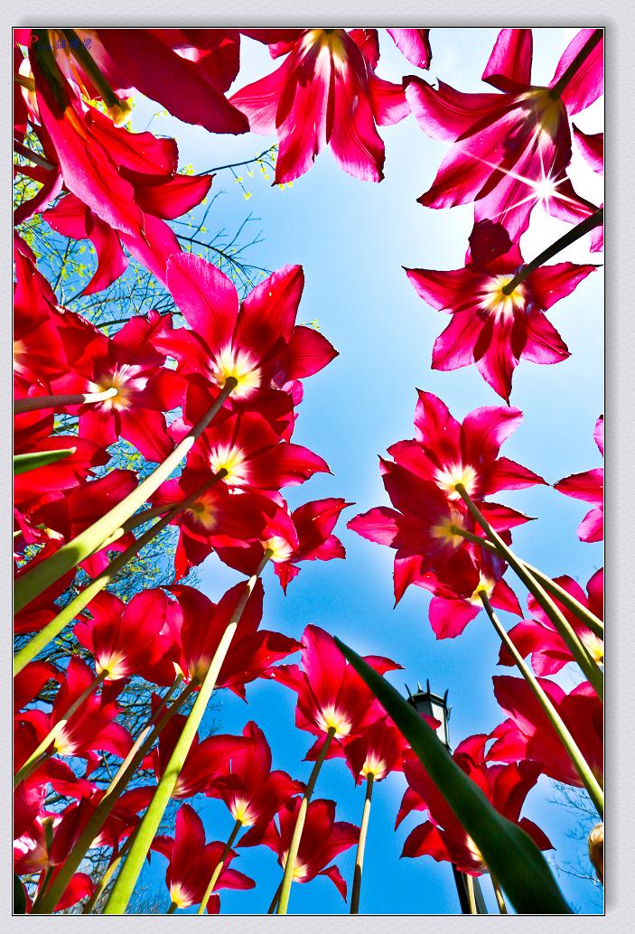 �}�u -05-03-2014--�~�s 249-2.jpg