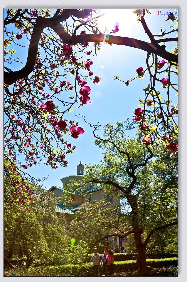 �}�u -05-03-2014--�~�s 197-4.jpg