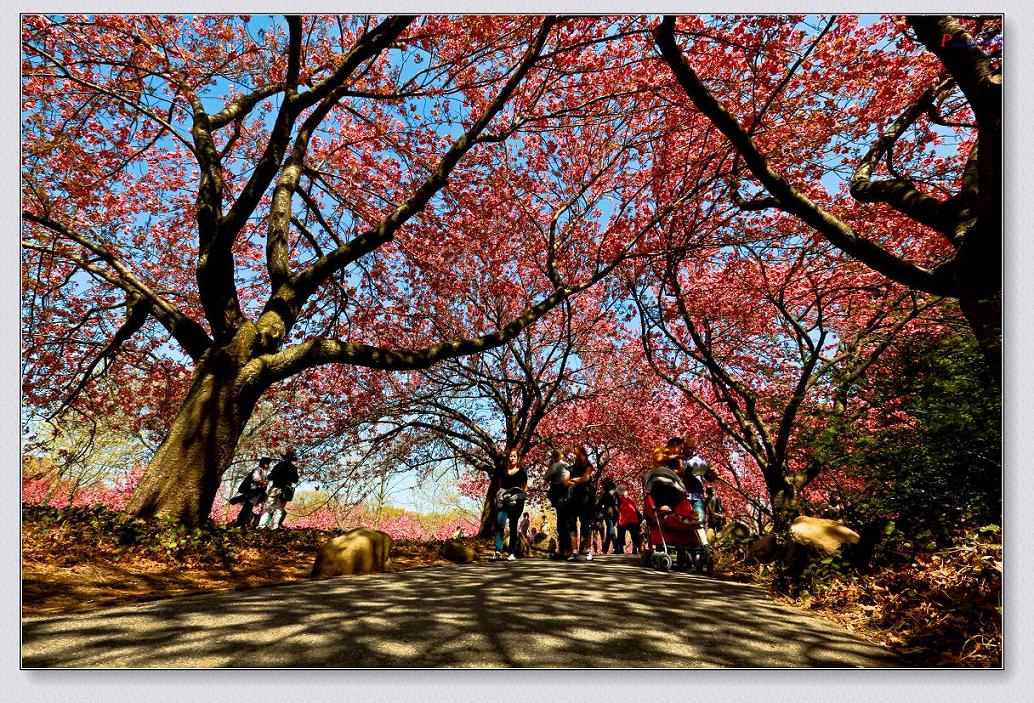 �}�u -05-03-2014--�~�s 056-2.jpg