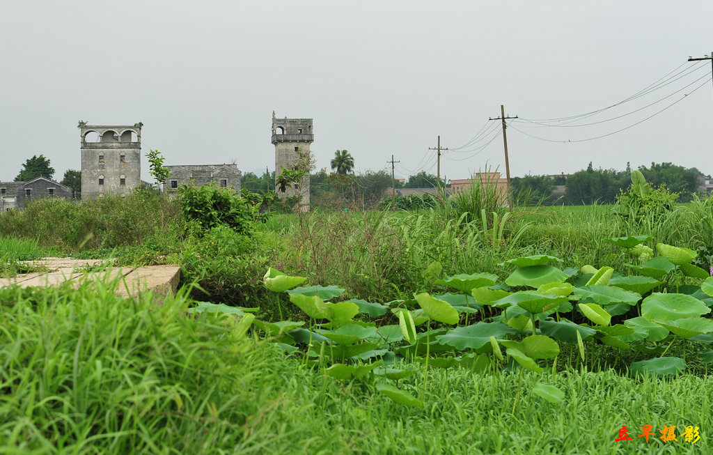 DSC_3567.JPG