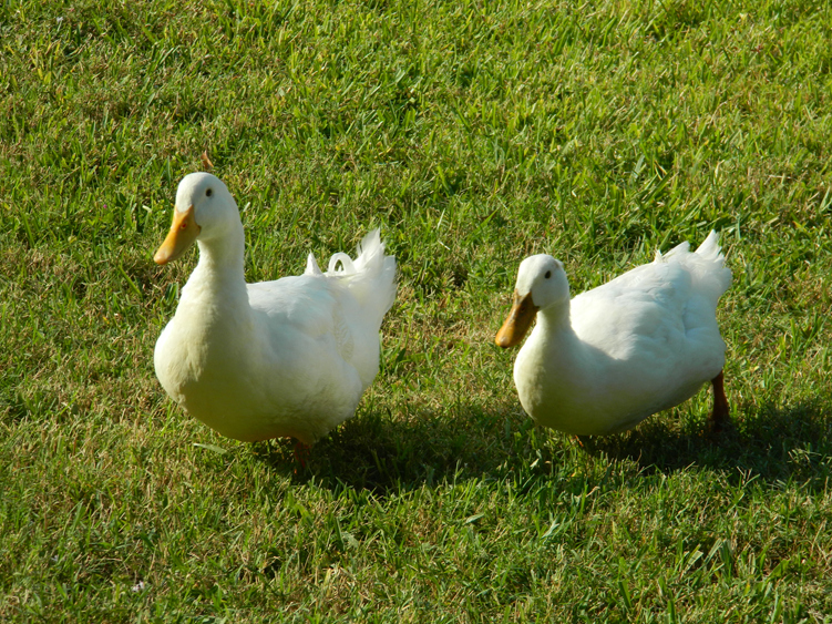 DSCN4123_.jpg