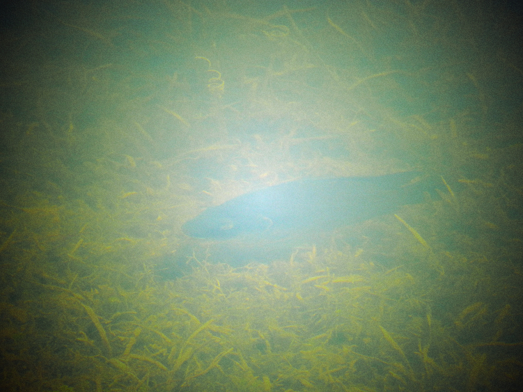 DSCN4120_.jpg