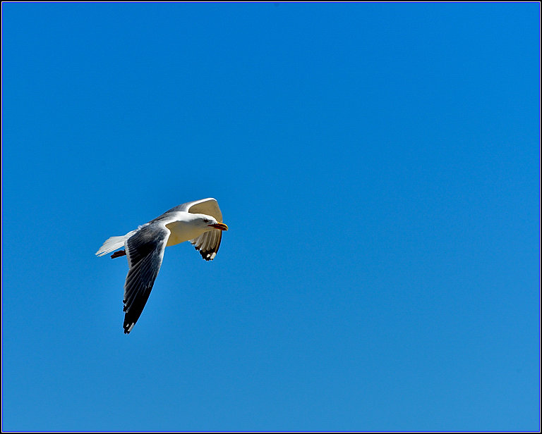DSC_4569.jpg
