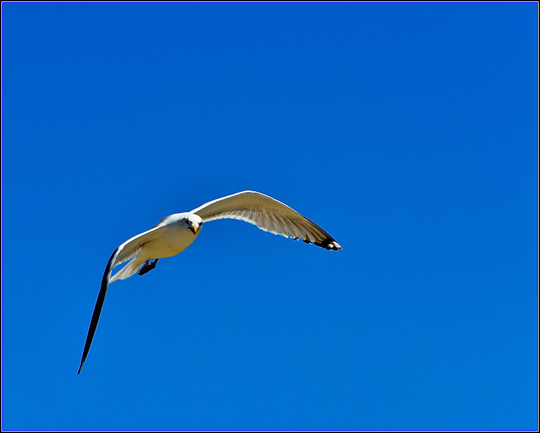 DSC_4570.jpg