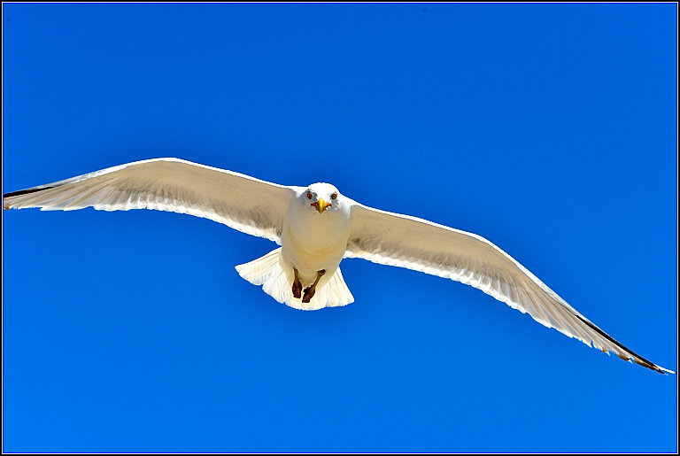 DSC_4572.jpg