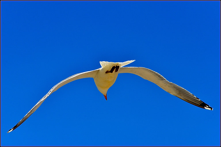 DSC_4582.jpg